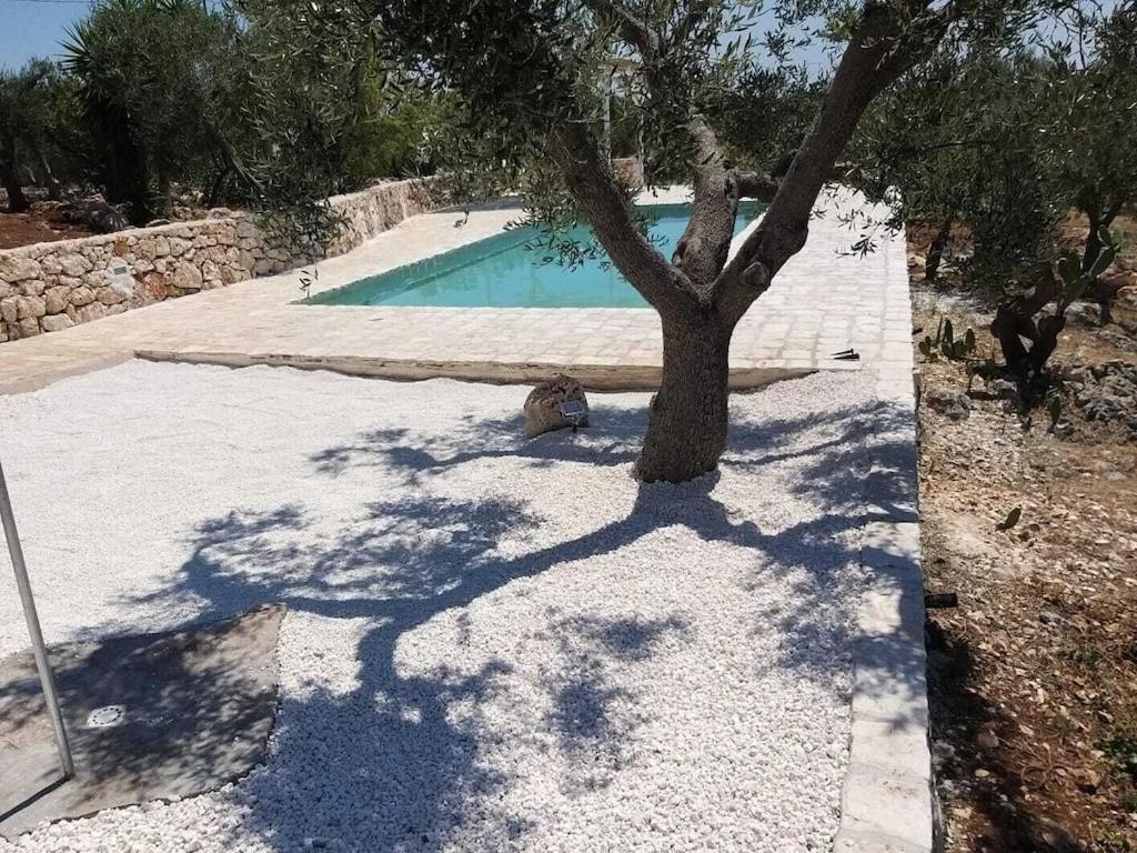 Casa Giuliveto - Charmantes Ferienhaus Mit Privatpool In Olivenhain Ostuni Exterior photo